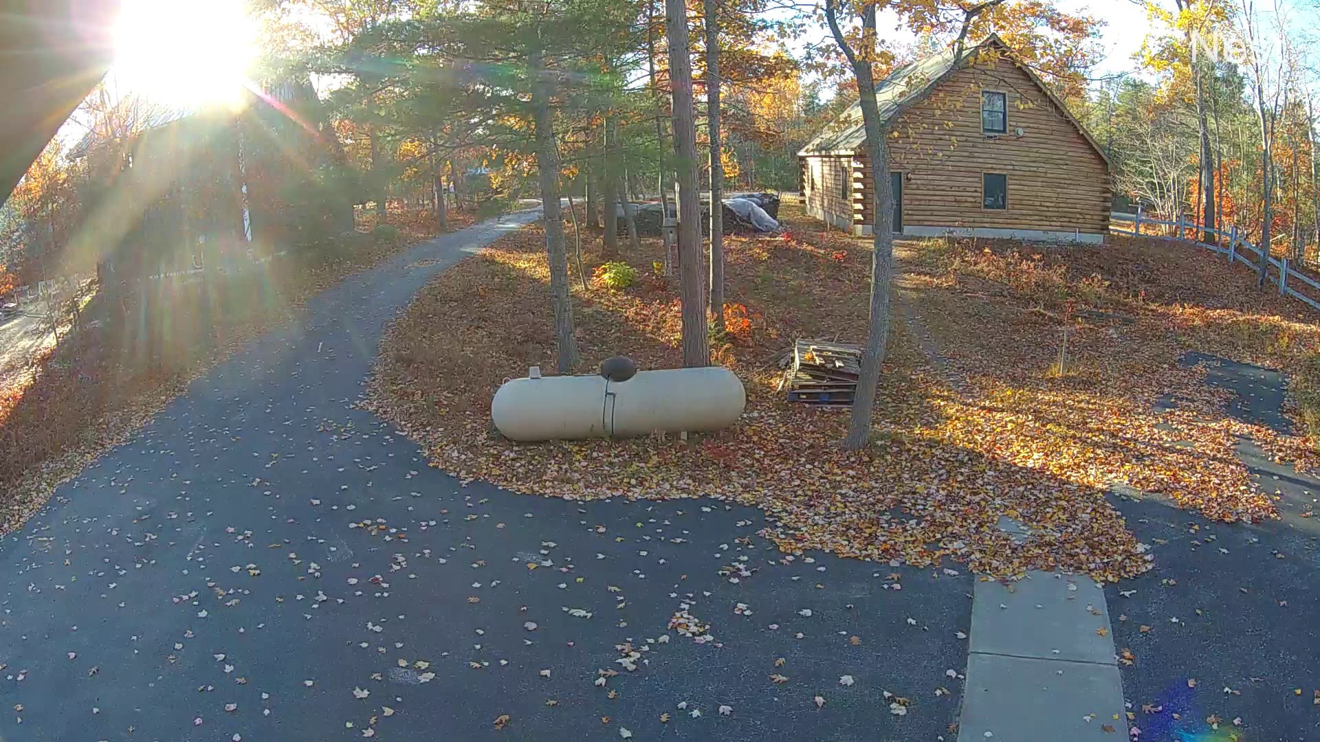 Latest snapshot from Driveway Cam